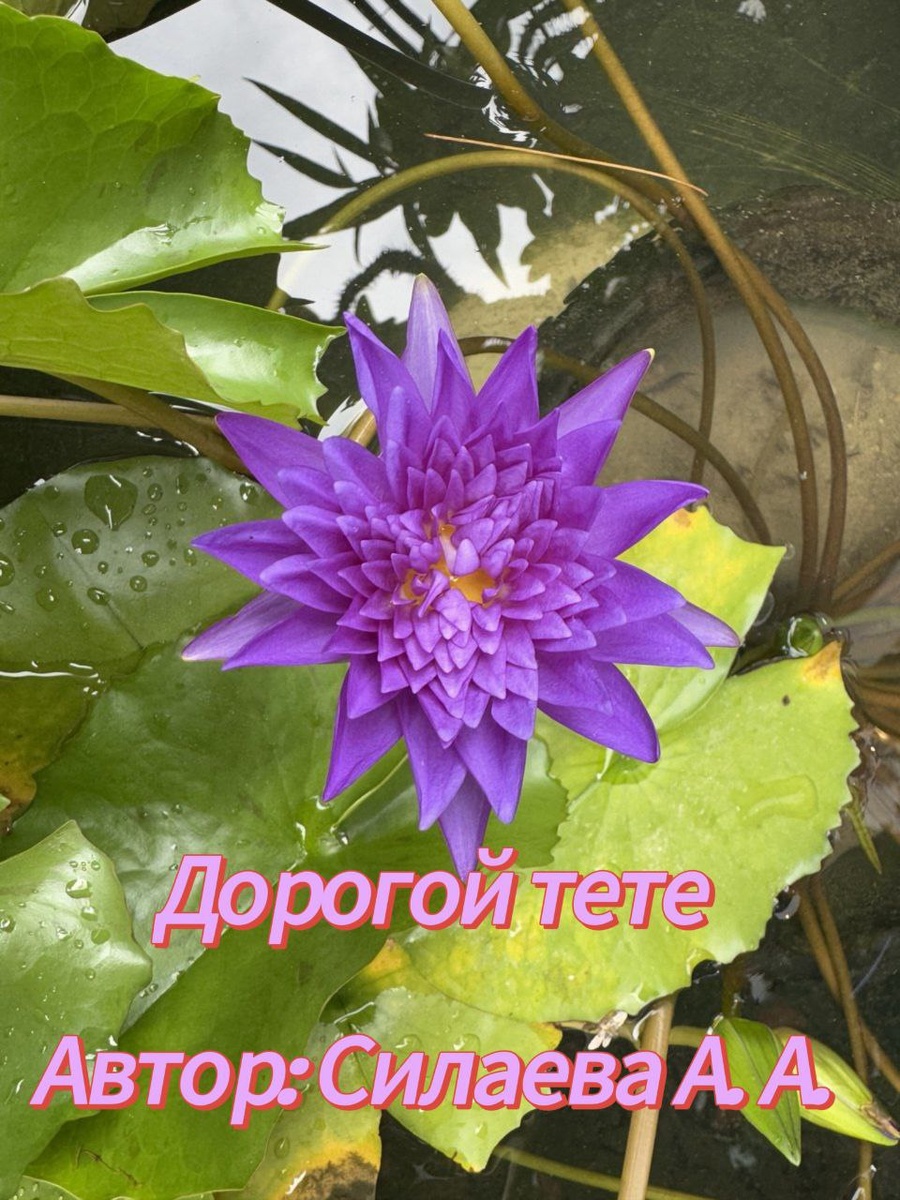 Фото автора