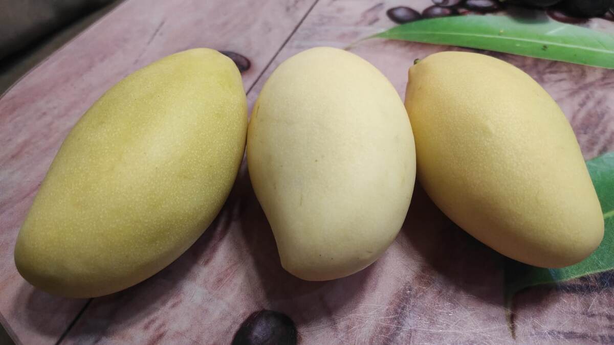 Желтый манго.
