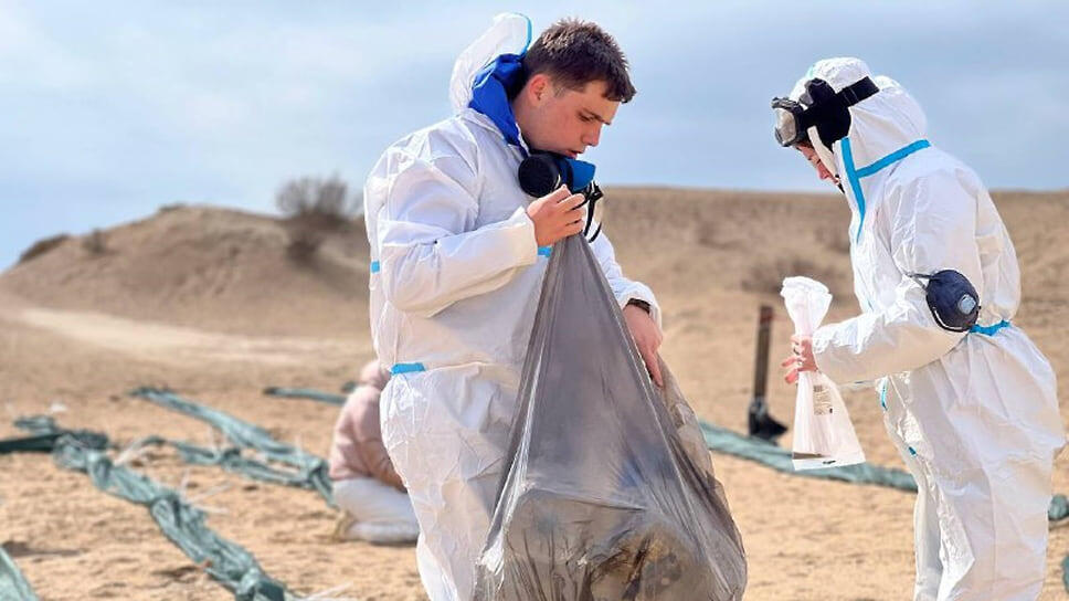 Фото: Telegram-канал депутата Госдумы Игоря Кастюкевича