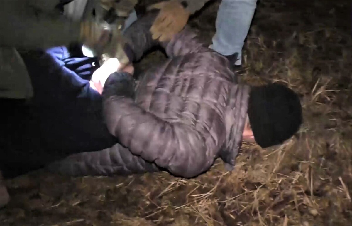     / Источник: Кадр из видео