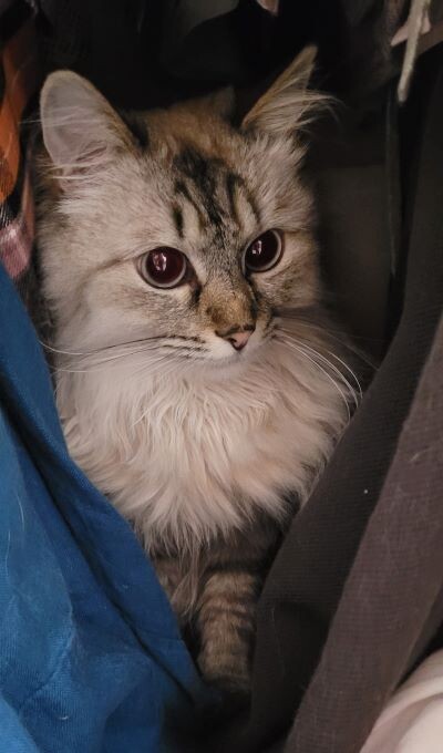 Ты сама-то тут что делаешь?!