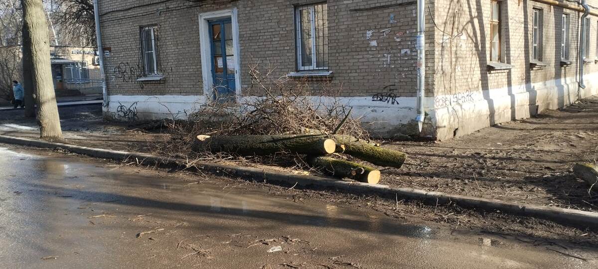 Фото: ИА "Малая Родина"