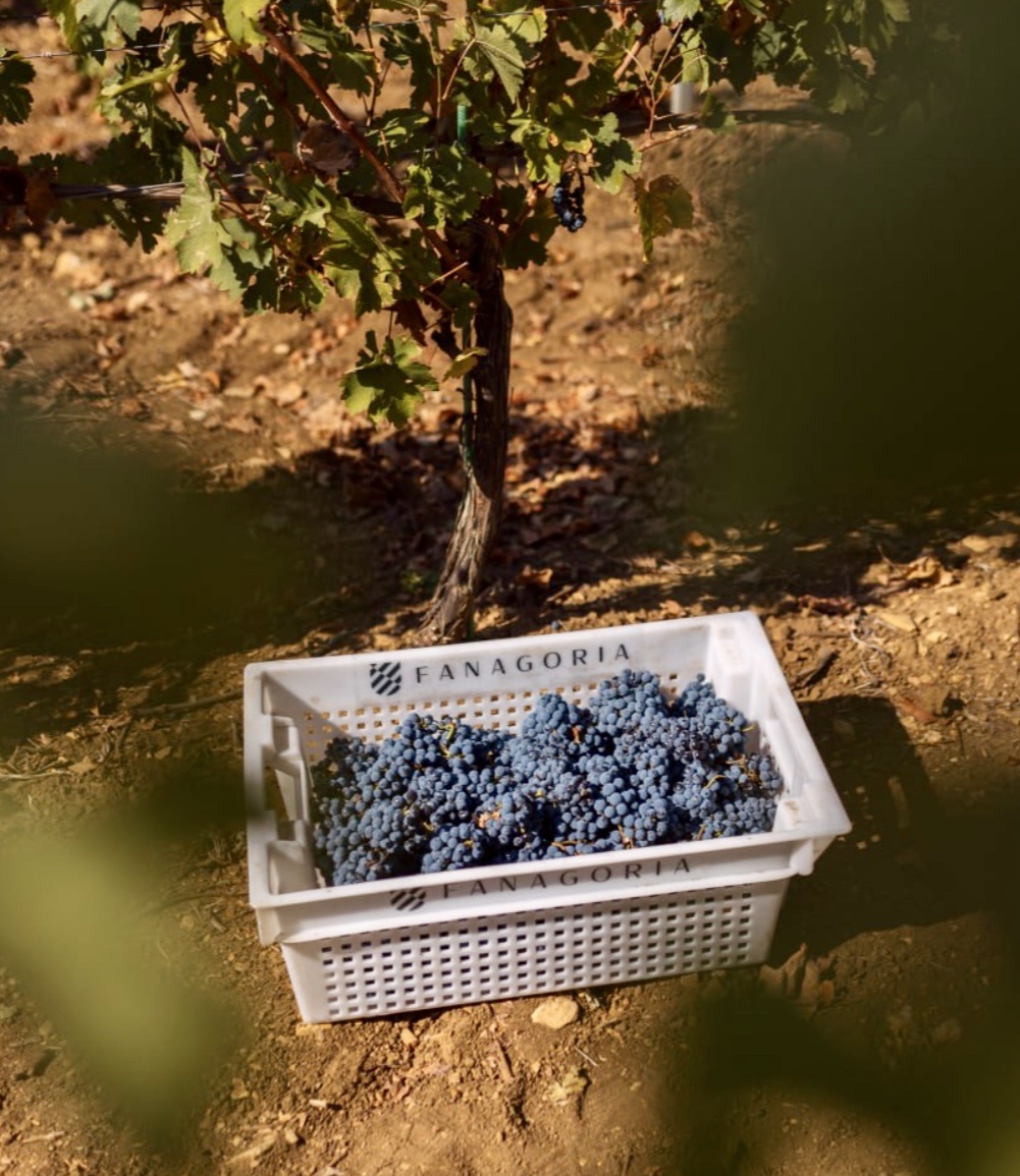 Сайт производителя 