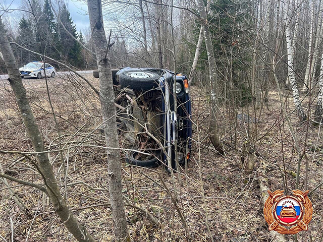 В Тверской области водитель, чтобы не сбить животное, улетел в кювет