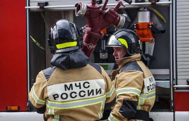    Сергей Булкин/NEWS.ru