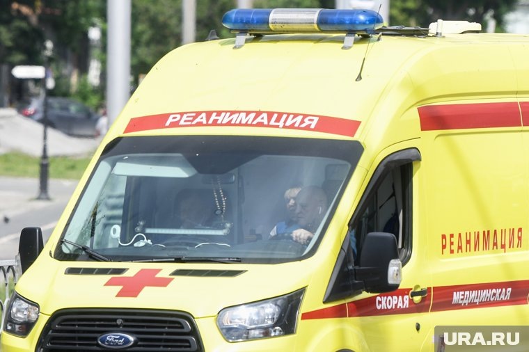    Девочка находится в удовлетворительном состоянии, а ее брат помещен в реанимацию