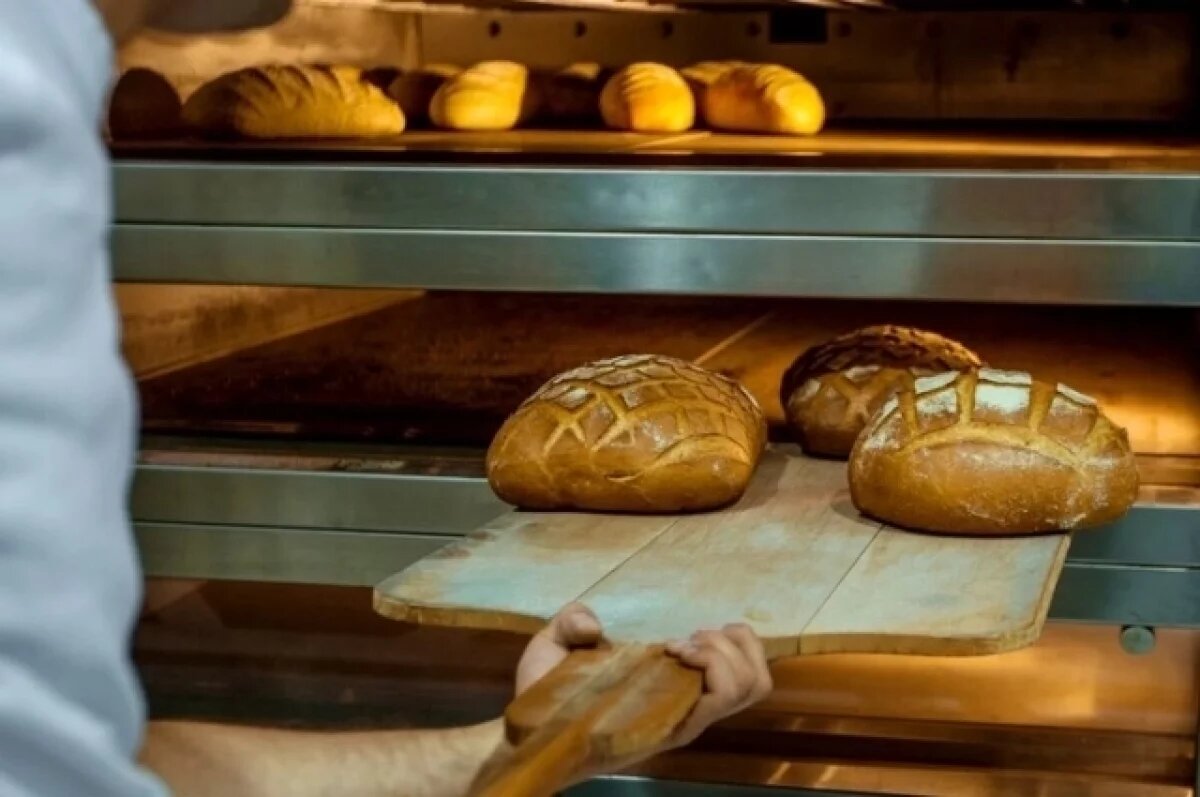    Пекарь из Дагестана предстанет перед судом за вырубку деревьев на 225 тысяч