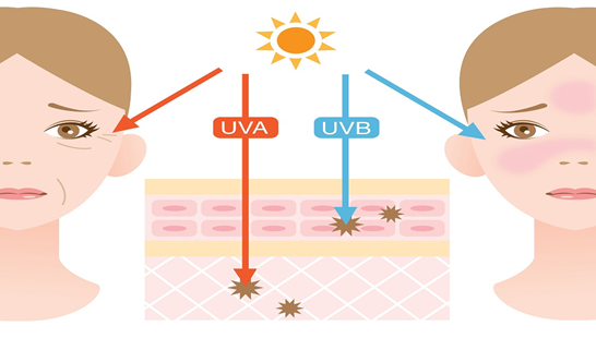 Воздействие солнечных лучей на кожу