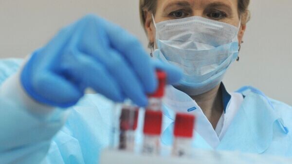    © Sputnik / Алексей Сухоруков