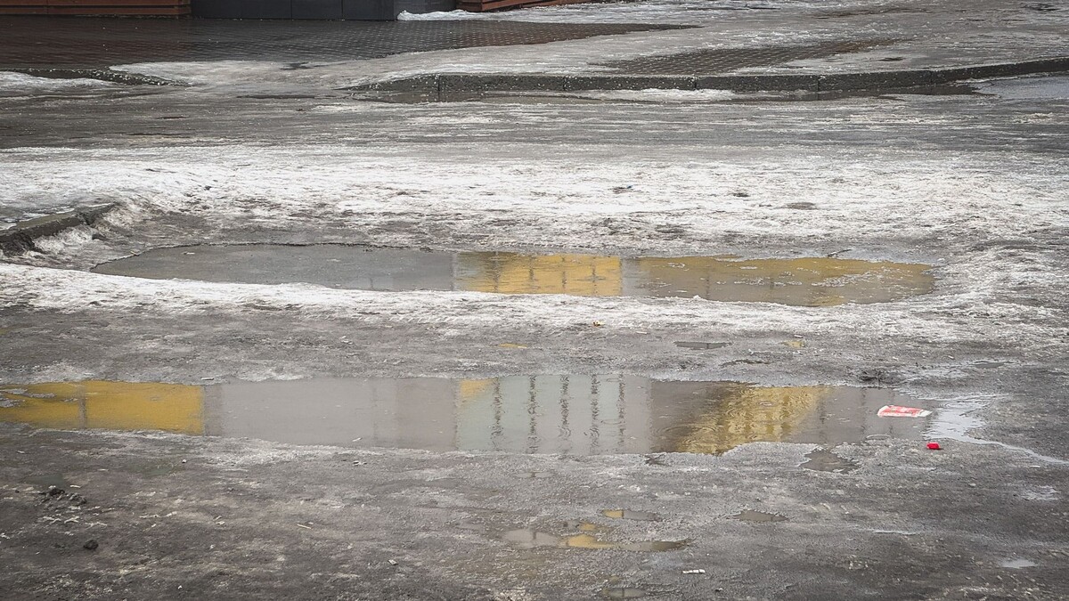     Источник: 1MI