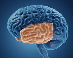 #деменция #психиатр #психотерапевт #факторыриска