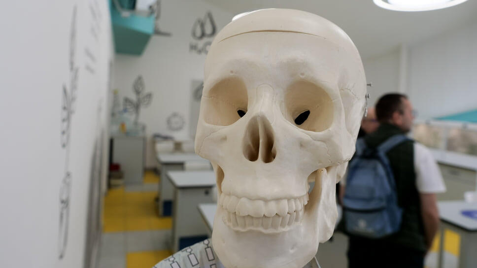 Фото: Евгения Яблонская / Коммерсантъ