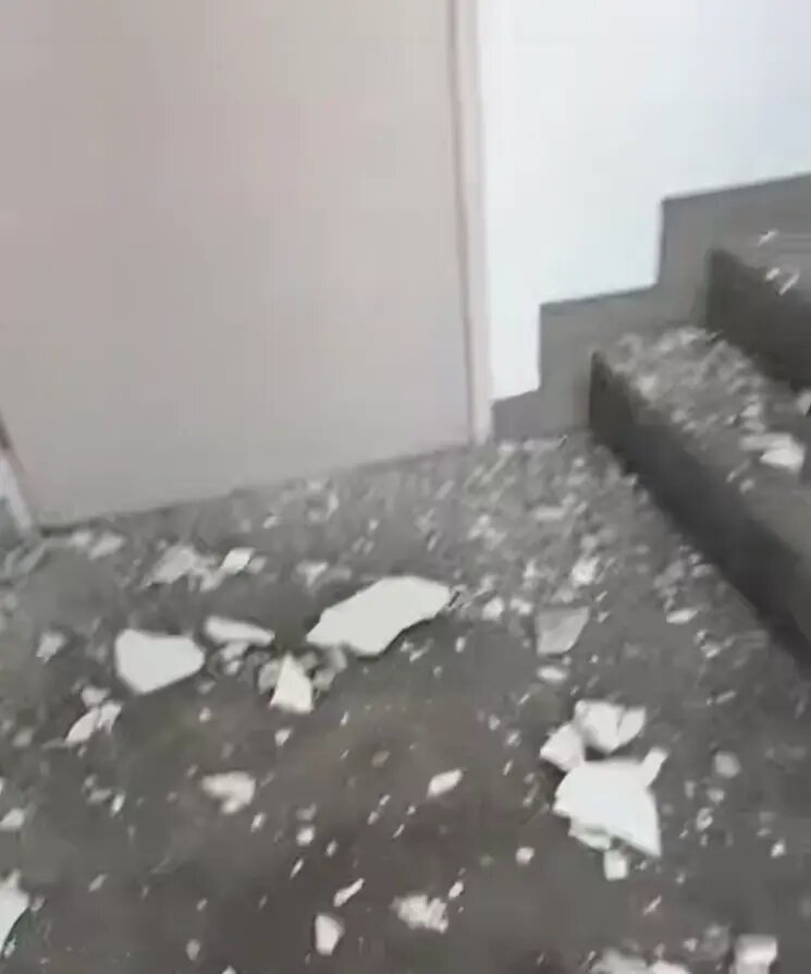    Фото: стоп-кадр видео из соцсетей