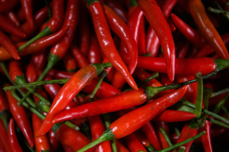    Фото: © Ilya Moskovets/URA.RU/Globallookpress