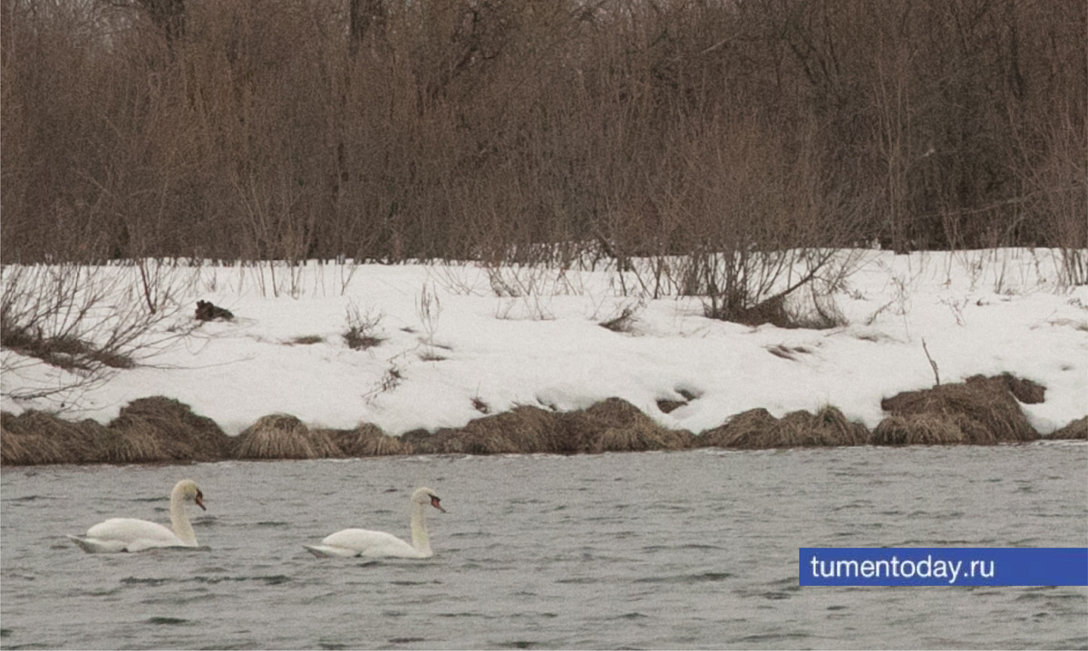 Фото Сергея Куликова