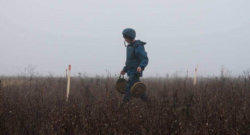    Alexander Rekun/Global Look Press / www.globallookpress.com