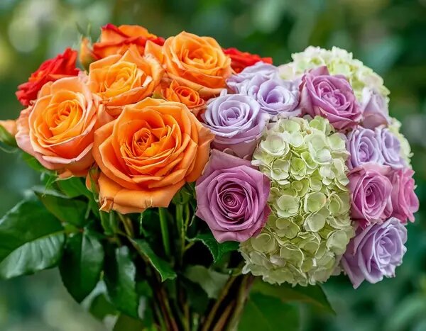   Идеальный букет для Овна и Тельца. AzaliaNow Вера Курилыч