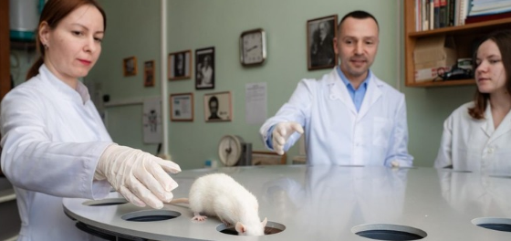    ото: Самарский университет