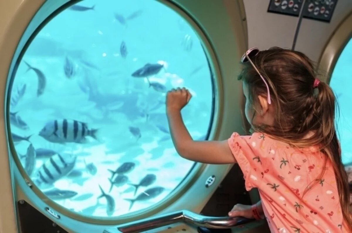    Три туриста из Ленобласти утонули вместе с батискафом в Хургаде