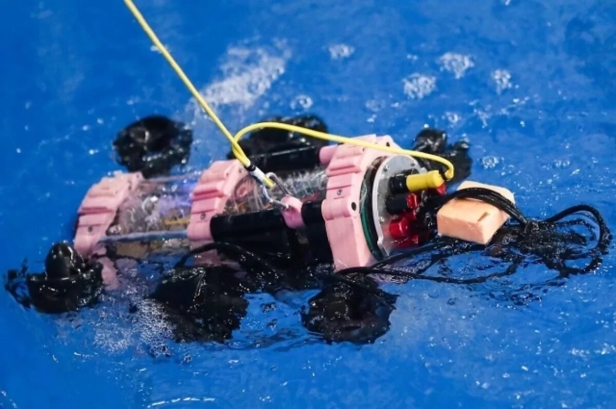    Астрахань – центр притяжения специалистов подводной робототехники