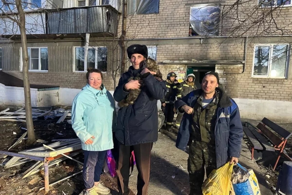   Полицейский спас кота из разрушенной взрывом квартиры в Красногорском
