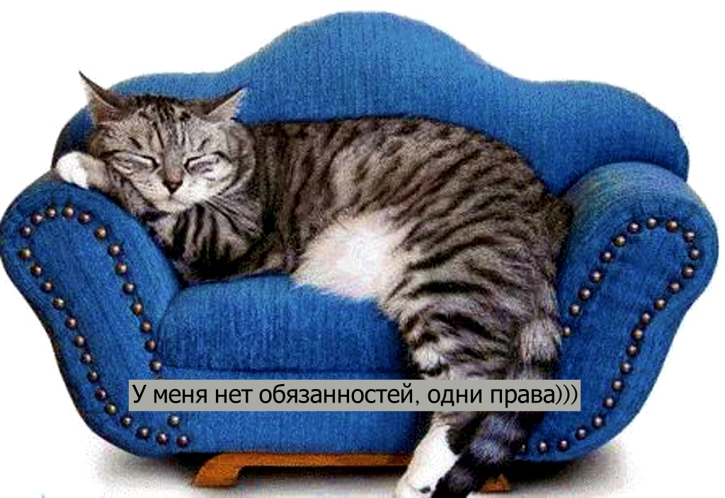 Коллаж автора