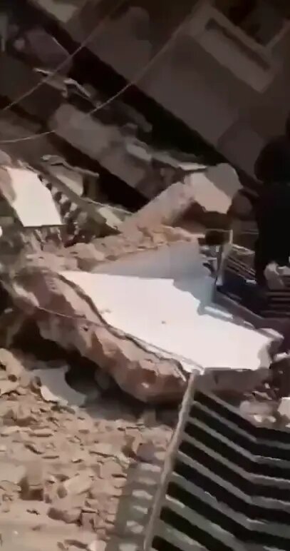    Фото: скриншот видео из соцсетей