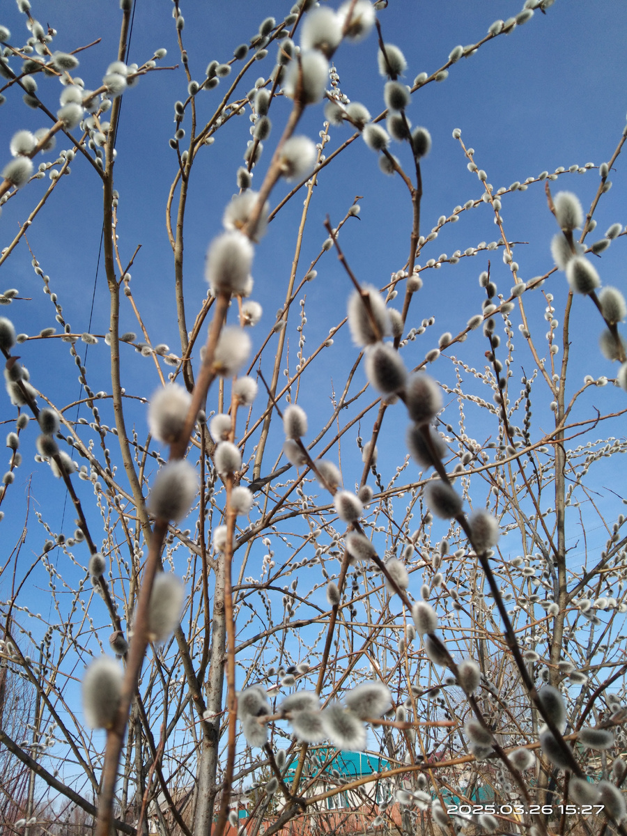 Фото из личного архива 