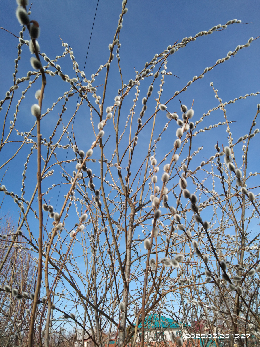 Фото из личного архива 