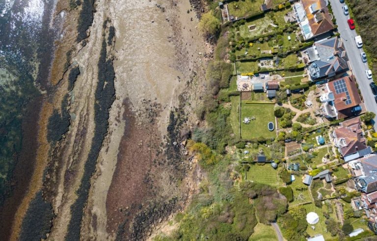    Фото: freepik.com Александра Горохова