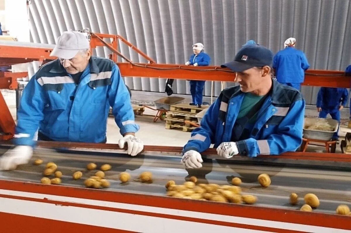    Енотаевский район Астраханской области демонстрирует экономический подъем