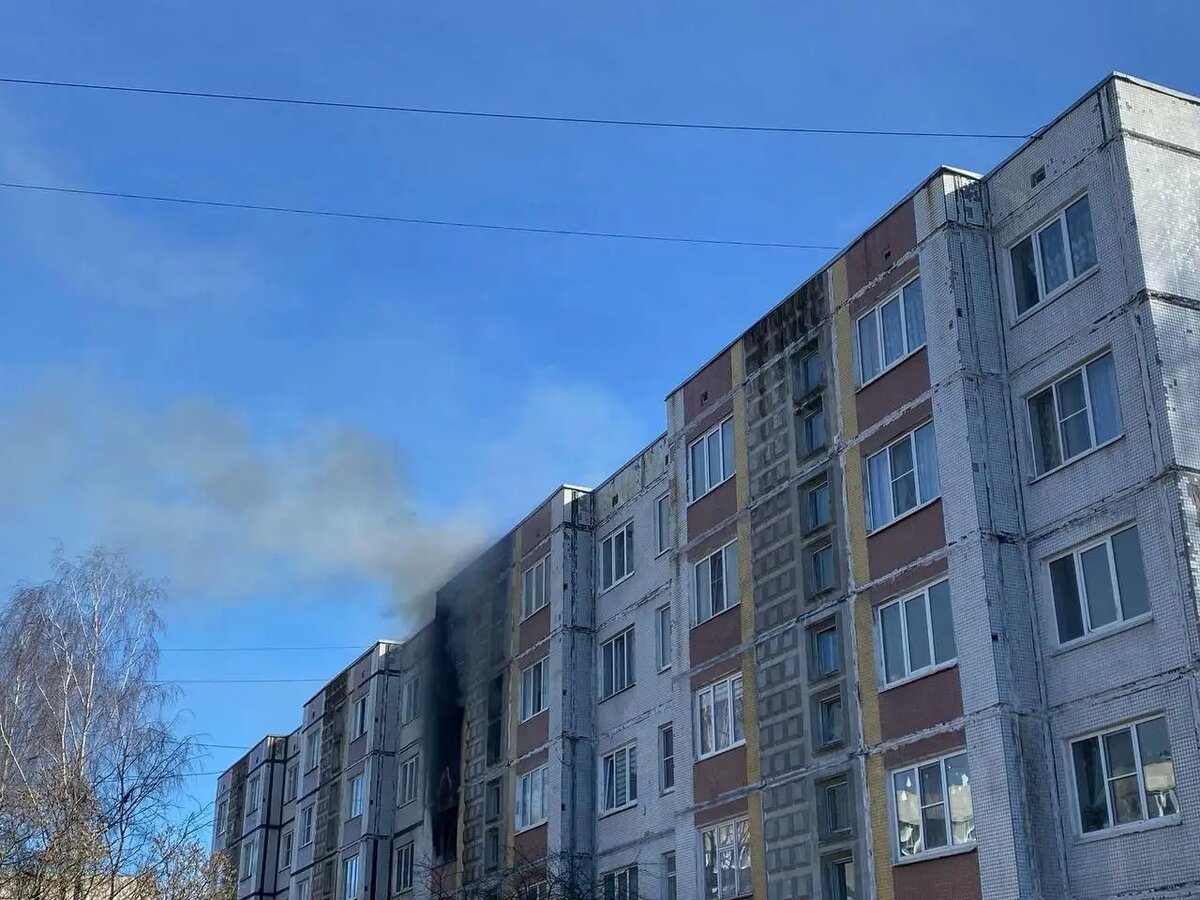     © Пресс-служба прокуратуры Ленинградской области