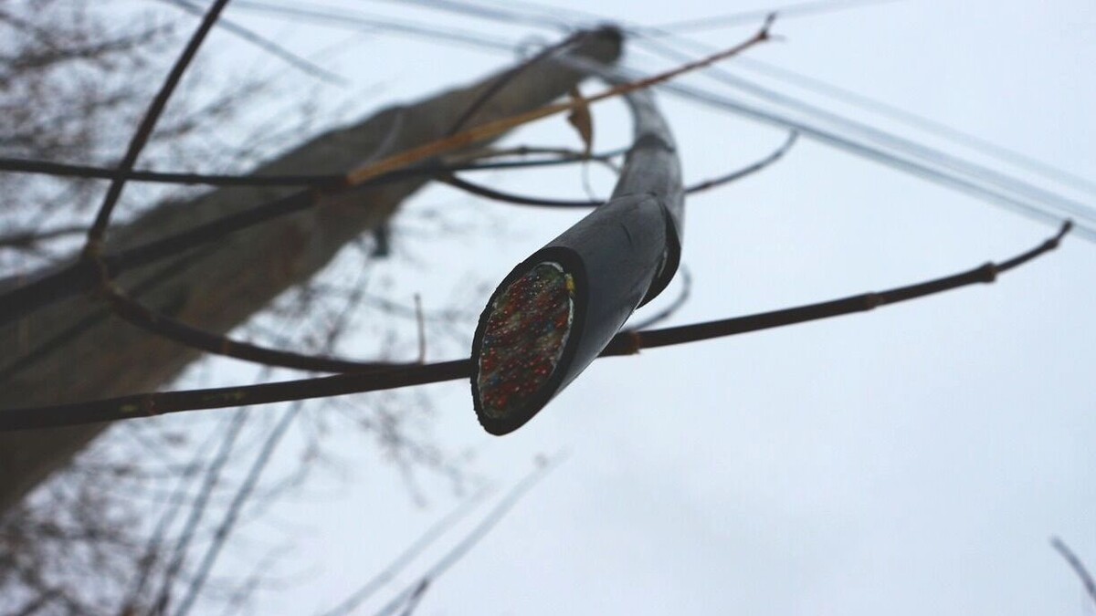     Источник: 1MI