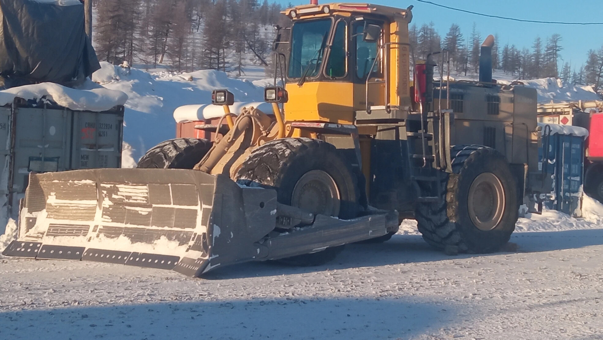 Колымский «колёсник» — зверь суровый, но полезный