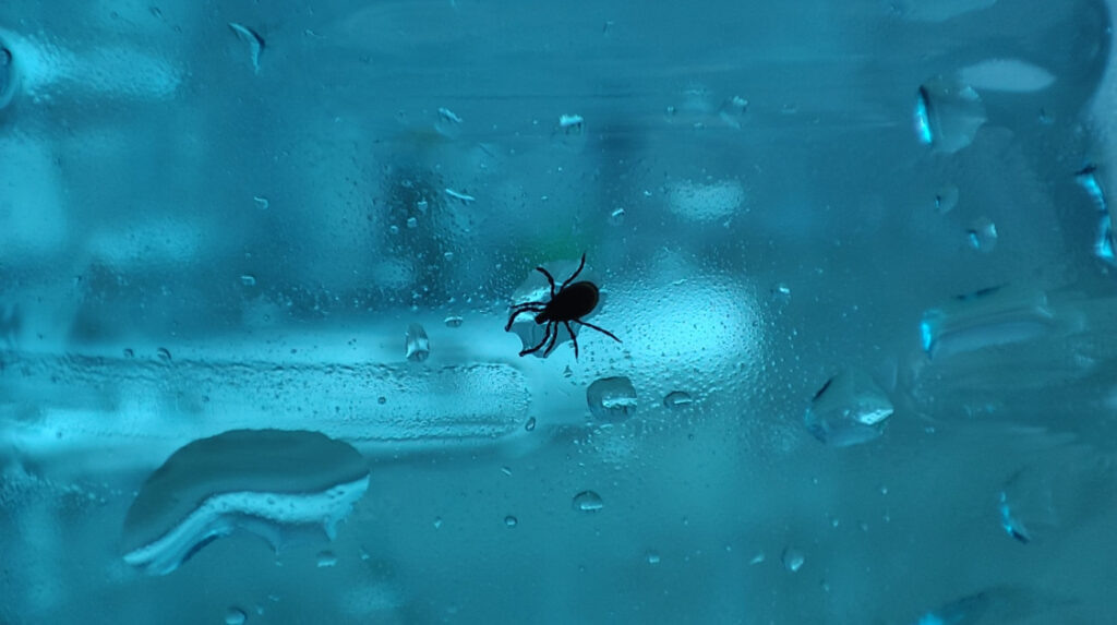    Фото: сайт губернатора и правительства Пермского края Алена Калашникова