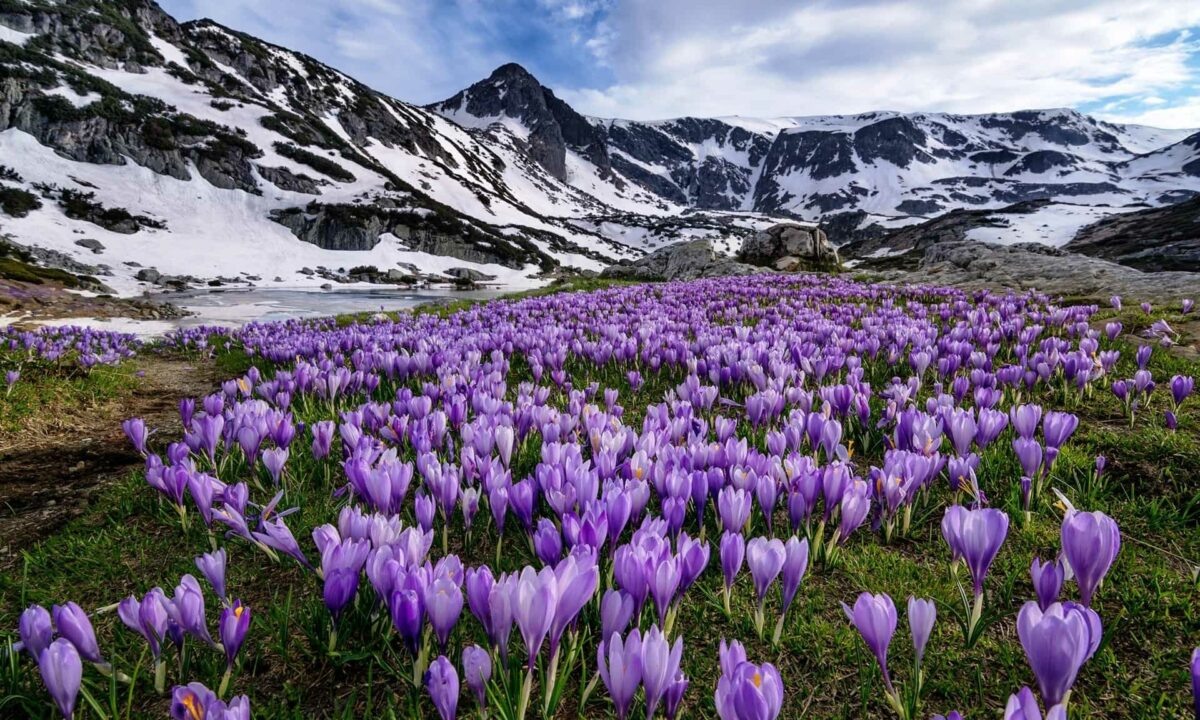    Фото пресс-службы министерства природных ресурсов Краснодарского края