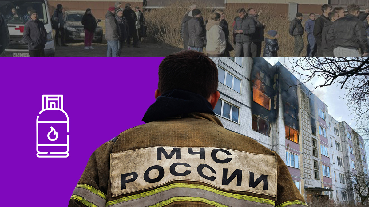 Коллаж 78.ru: Sergey Elagin/globallookpress.com, прокуратура Ленобласти, 78.ru, flaticon.com/Freepik