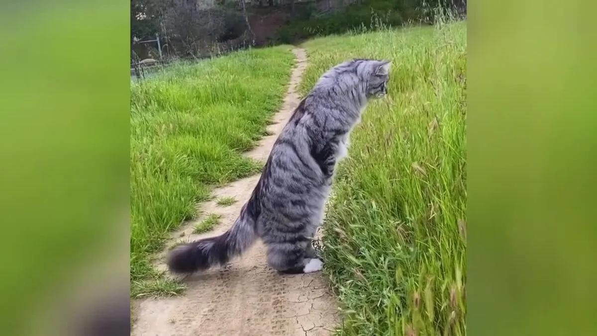 Фото из Яндекса