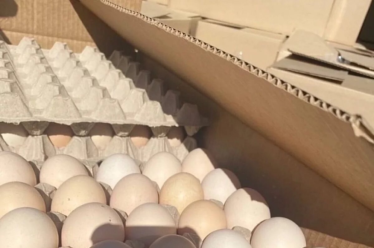    Незаконную перевозку инкубационного яйца выявили в Свердловской области