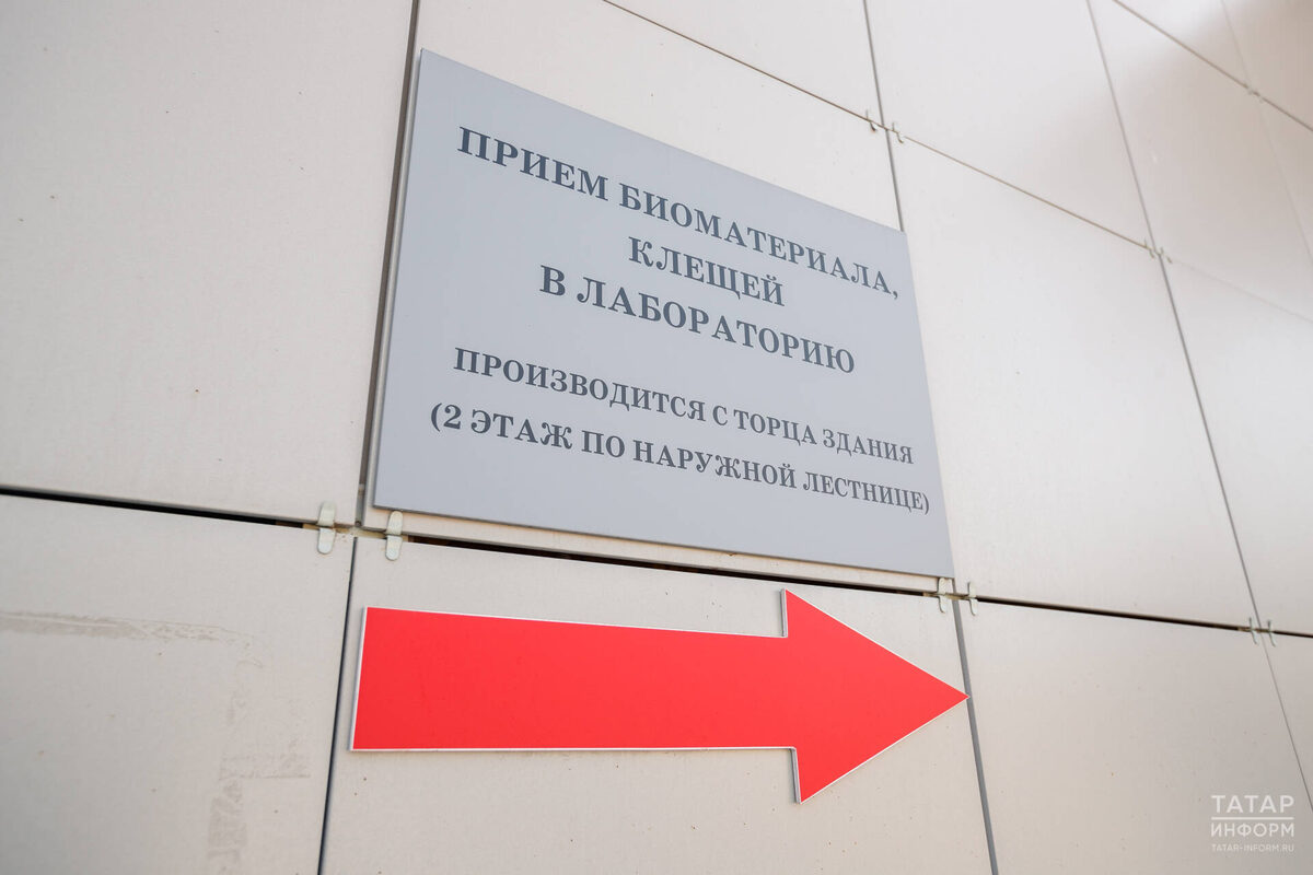 Фото: © «Татар-информ»