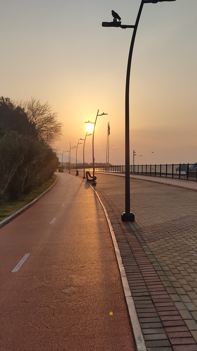 Дин Карназес («Самый бегущий человек на Земле»):
«5 утра. Ты один, тишина и километры пути. Это момент, когда рождается сила воли».