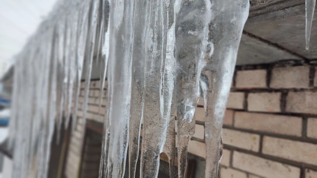    Фото: Царьград