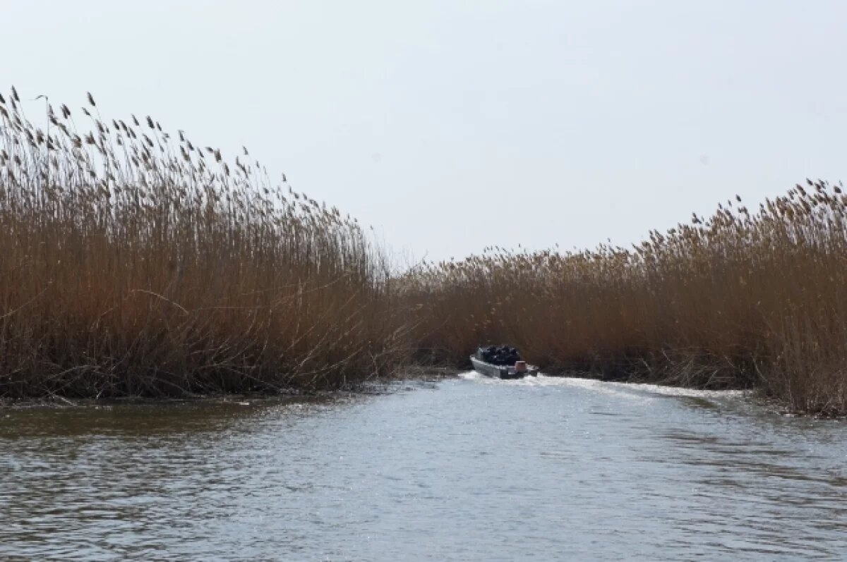    В Астраханской области обнаружили крупный разлив нефтепродуктов на Волге