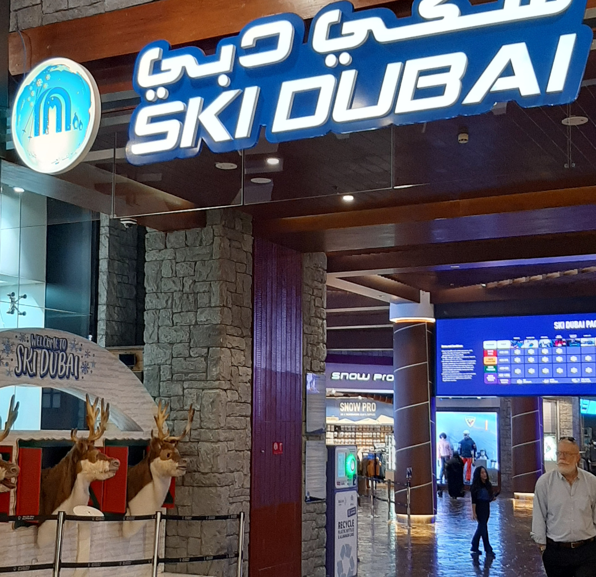 Вход в Ски Дубай