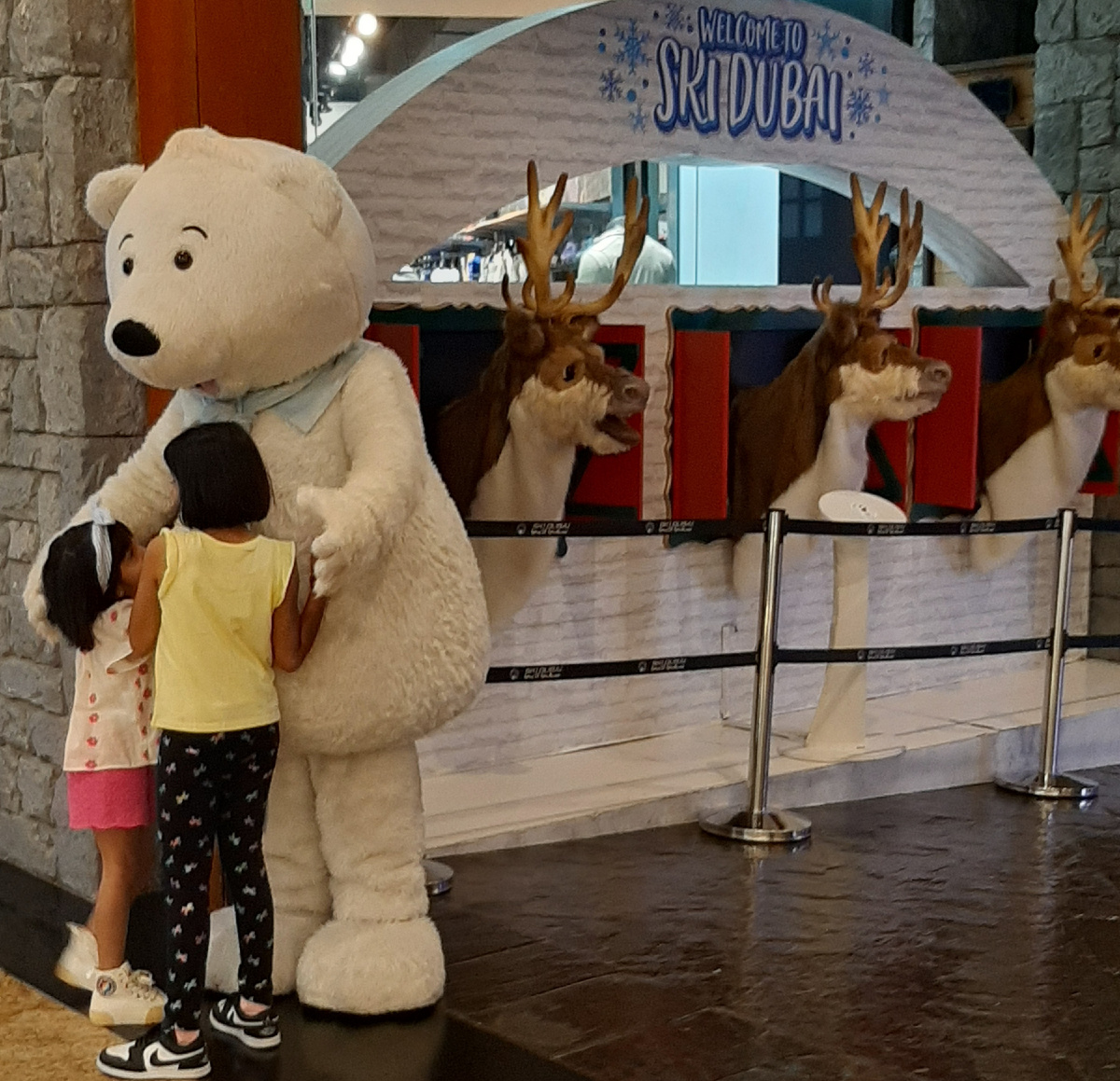 У входа в Ски Дубай