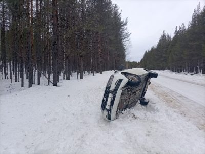    Фото: Госкомитет Карелии по безопасности / Telegram