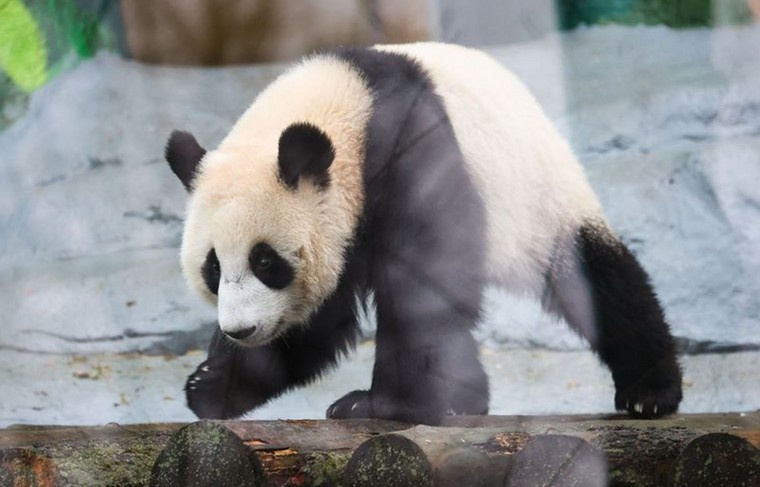    Алексей Белкин/NEWS.ru