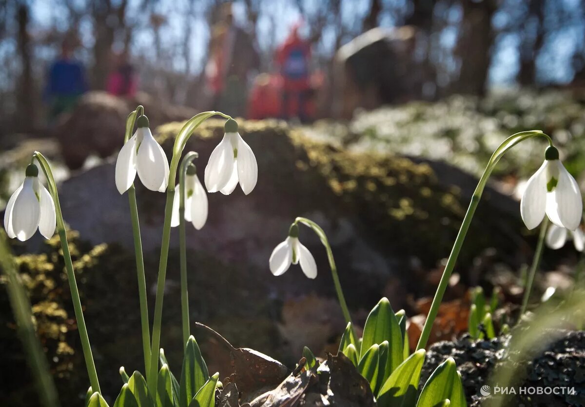 Фото: Сергей Мальгавко / РИА Новости