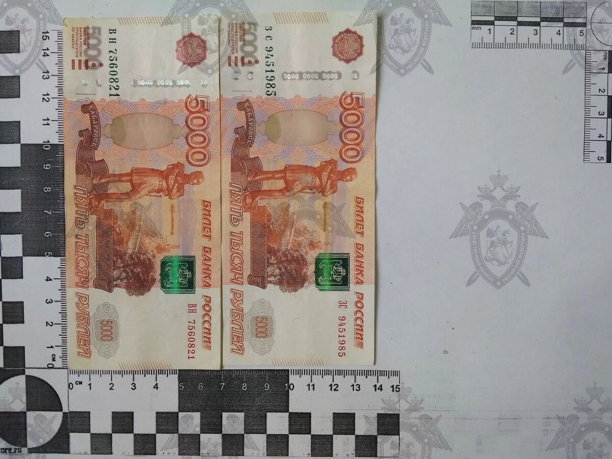     Автор: Следком Ростовской области