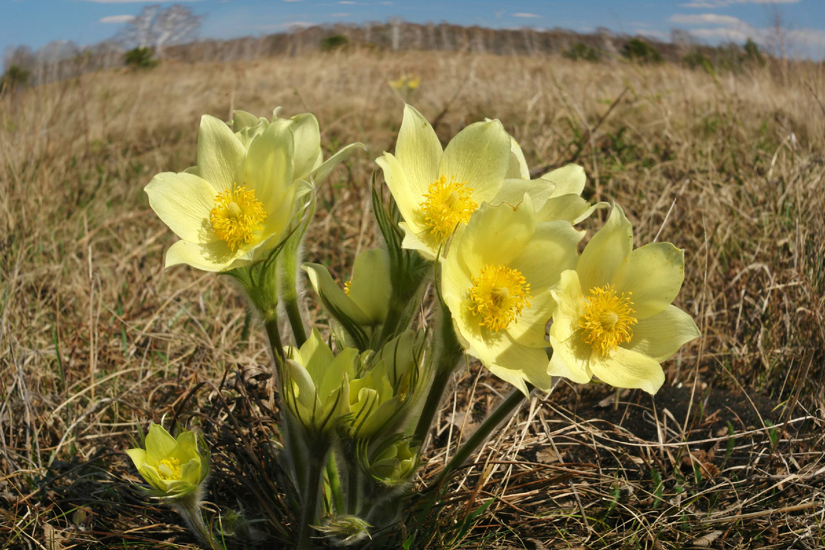 фото: Sergey Malkov/Russian Look/Global Look Press